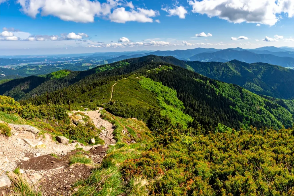 729 m.n.p.m. Karkoszczonka